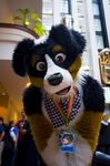  bandanna canine convention cute dog fursuit looking_at_viewer male mammal mixed_candy necklace noodle purple_eyes real solo tongue 