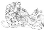  blotch canine canine_penis dalmatian dog gay male oral penis tail tongue wolf 