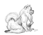  anthro canine chubby dog female fluffy kabuki_homewood kabukihomewood looking_at_viewer mammal monochrome nipples overweight paws plain_background sketch solo white_background 