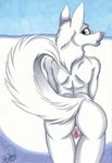  anus butt canine dog female husky malachi mooning nude presenting pussy solo tail 