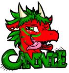  badge cannie dragon english_text green green_eyes green_hair green_markings hair headshot_portrait horn male markings open_mouth plain_background portrait red red_body solo teeth text thejazzycat tongue transparent_background 