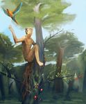  avian bird electropanda feline flying forest male mammal mushrooms solo tail theowlette tree wood 