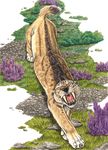  bloodhound_omega fangs feline feral roar sabertooth smilodon solo 