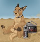  2006 ambiguous_gender caption caracal chest_tuft claws collar desert feline feral gasoline grey_eyes hindpaw matches molotov molotov-caracal outside pawprint sitting solo tail yiff_in_hell 