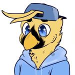  alex_yellowjay anthro avian baseball_cap clothed clothing feathers hat headshot hoodie male markings simple_background smile solo trinity_night yellow_feathers 