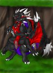 couple cynder dragon female male neyaraxis penetration penis pussy scalie sex spyro_the_dragon straight vaginal vaginal_penetration video_games 