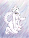  anthro bell breasts cat collar feline female fur mammal nipples nude purra purraparru solo white white_fur 