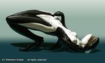  anthrofied cetacean costume kemono_inukai latex mammal marine orca rubber transformation whale 