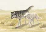  ambiguous_gender canine feral nablange size_difference walking wolf 