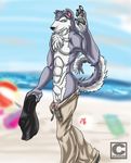  balls beach blue_eyes canine chest_tuft clothing dog fur husky male mammal nude_beach pants profec seaside sheath shirt smile solo tuft undressing wave waving 