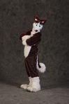  dog fursuit husky mammal real solo tail unknown_artist 