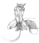  blotch canine fox looking_at_viewer male rope slave solo tied 
