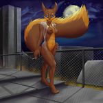  against_fence anthro breasts bushy_tail city cityscape female fence fluffy_tail hi_res kampfisken mammal nadia nipples nude open_blouse rodent smoke smoking solo squirrel tail tasteful_nudity 