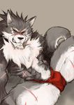  anthro biceps big_muscles canine fundoshi fur looking_at_viewer mammal muscles pecs rouen scar shining_(series) shining_wind solo underwear unknown_artist video_games wolf 