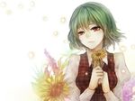  ascot blouse daisy face flower geoly green_hair hands head_tilt highres holding holding_flower kazami_yuuka lavender_(flower) light_smile plaid plaid_vest red_eyes short_hair solo sunflower touhou upper_body vest white_background 