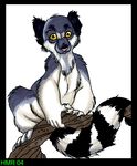  feral holly_massey lemur mammal plain_background primate solo white_background yellow_eyes 