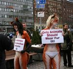  camel_toe canine female finland fox human love_handles peta photo real 