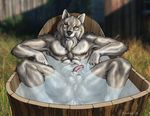  bath canine male mammal muscles nude penis pose solo water wolf wookiee wookiee_(artist) 