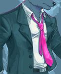  belt business canine dog male mikalapine necktie shirt solo suit 