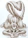  2010 ass_up female nude on_front raised_tail sketch skunk solo tail xianjaguar 