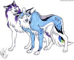  2010 blue canine feral mayra_boyle purple wolf 