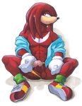  balls dreds echidna knuckles_the_echidna male panty_pull penis ratcandy shirt shoes solo sonic_(series) spiked_fists 