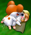  blush cum female feral hamster hamtaro hamtaro_(series) male princess_shera sex straight sweat tears 