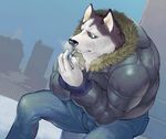  canine male meltora smoking solo wolf worried 