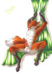  abs balls canine cloudy_kitty fox green knot male nude penis precum solo spread_legs spreading 