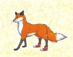  canine feral fox kairithekat male shoes socks solo 