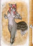  2010 background breasts canine female multi_breast nude on_glass paws ruaidri sherly_karu shower solo wet_fur 