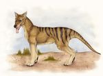  bloodhound_omega feral ferao male outside solo tail thylacine 