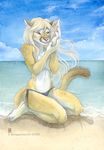  2010 background beach bikini cougar feline female ocean sea seashell seaside shell shinigamigirl skimpy solo tame topless 