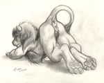  2010 alessio_scalerandi anus ass_up feline female lion nude on_front pussy raised_tail sketch solo tail transgender 