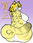  butt chubby fat feline female karubi5585 nude solo tiger 