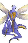  arvimunderthur arxis dragonfly insect male mascot_contest solo wasp 