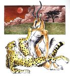  antelope breasts cheetah feline female gazelle heather_bruton hunter male missionary_position nude penetration predator_prey_reversal sex straight thomson_gazelle vaginal vaginal_penetration 