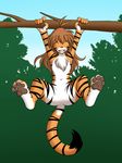 feline female flora_(twokinds) hanging hindpaw nude solo tiger tom_fischbach twokinds 