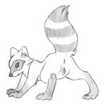  2009 amarimasi anus female feral mooning presenting pussy raccoon raised_tail sketch solo tail 