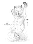  breasts cat feline female monty multi_breast nude siamese solo water wink 