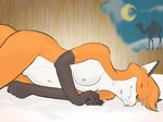  2008 breasts canine dream female fox nude sleeping solo ukabor 