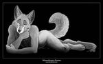  balls canine digitigrade looking_at_viewer lying male monochrome on_front pinup sheath solo tail tani_da_real wolf 