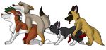  anal animal anthro anthro_bestiality border_collie canine canine_penis coyote dog eyes_open feral fox gay german_shepherd green_hair interspecies knot male oral penis raised_tail rimming tail tongue zoophilic 