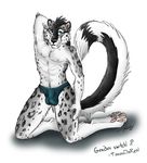  crossgender feline hindpaw male schnolf snow_leopard solo tail tani tani_da_real topless underwear 