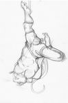  2010 anal anal_dildo anal_insertion anal_masturbation bdsm bondage breasts clitoris dildo double_insertion female insertion kaputotter masturbation nude penetration pussy rat rodent rope sex_toy sketch solo spread_legs spreading suspension upside_down vaginal vaginal_dildo vaginal_penetration 