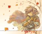  autumn brown_hair cape flute green_eyes hair male short_hair solo standing t_dattari-pix 