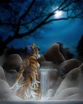  breasts feline female moon night nude outside sharutha side_boob snowroserivenstar solo tiger water waterfall wet 