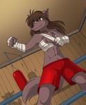  bandage bandage_gloves boxing_pear breasts brown brown_eyes brown_hair canine chest_tuft claws female grey_eyes hair heterochromia keidran natani_(twokinds) red shorts solo standing tail tom_fischbach twokinds webcomic wolf 