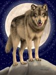  canine ebon_lupus feral moon photorealism solo tristan wolf 