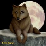  canine ebon_lupus feral looking_at_viewer male moon solo wolf 